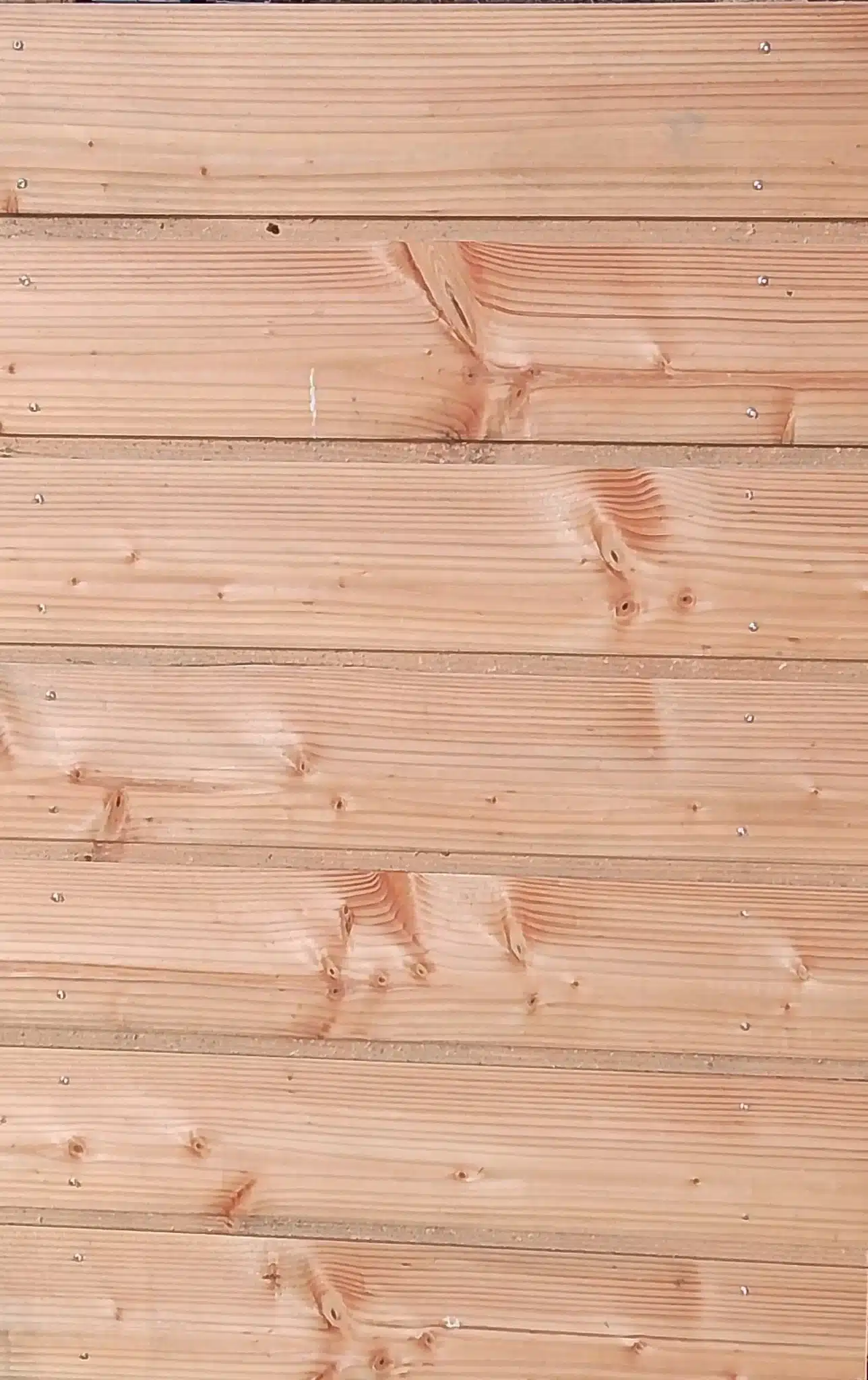 Bardage douglas 22x135mm en 5m – Image 1